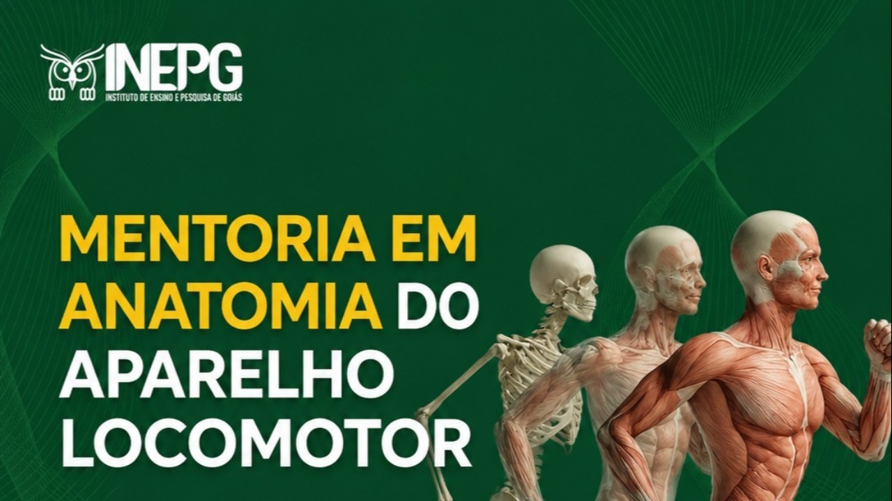 Mentoria: Anatomia do Aparelho Locomotor